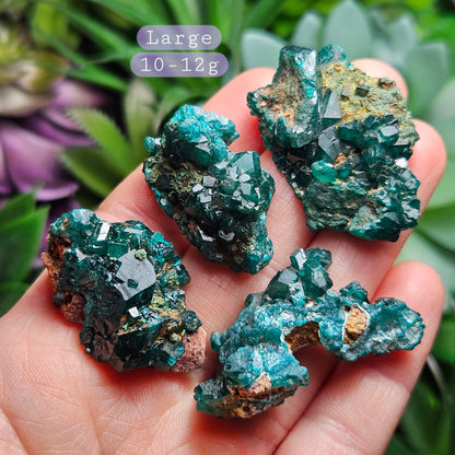 Dioptase Crystal