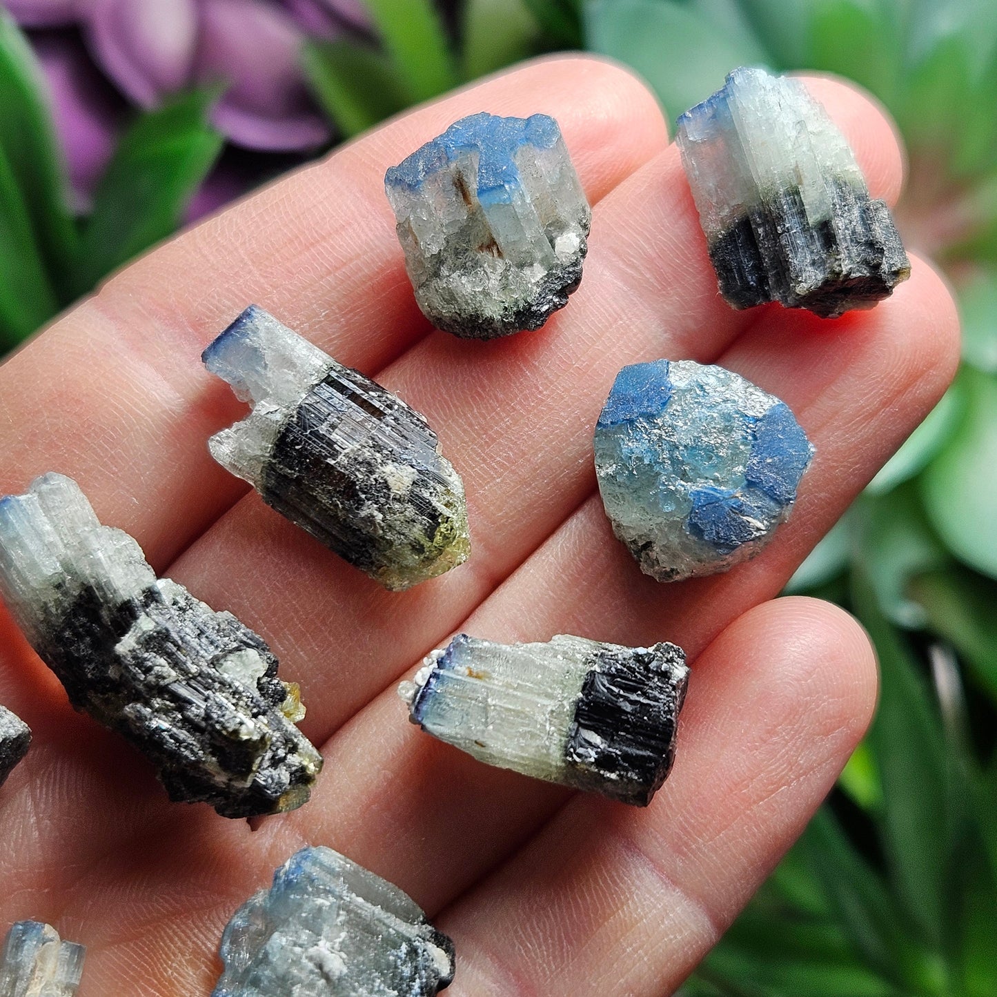 Blue Cap Tourmaline