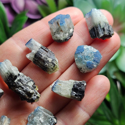 Blue Cap Tourmaline