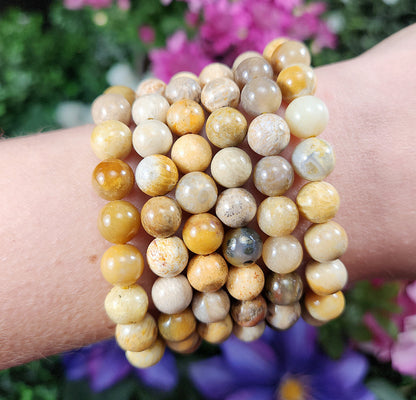 Fossilized Coral Bracelet