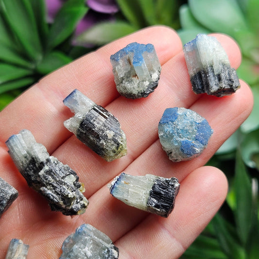 Blue Cap Tourmaline