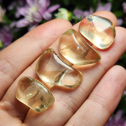 Golden Labradorite Crystal