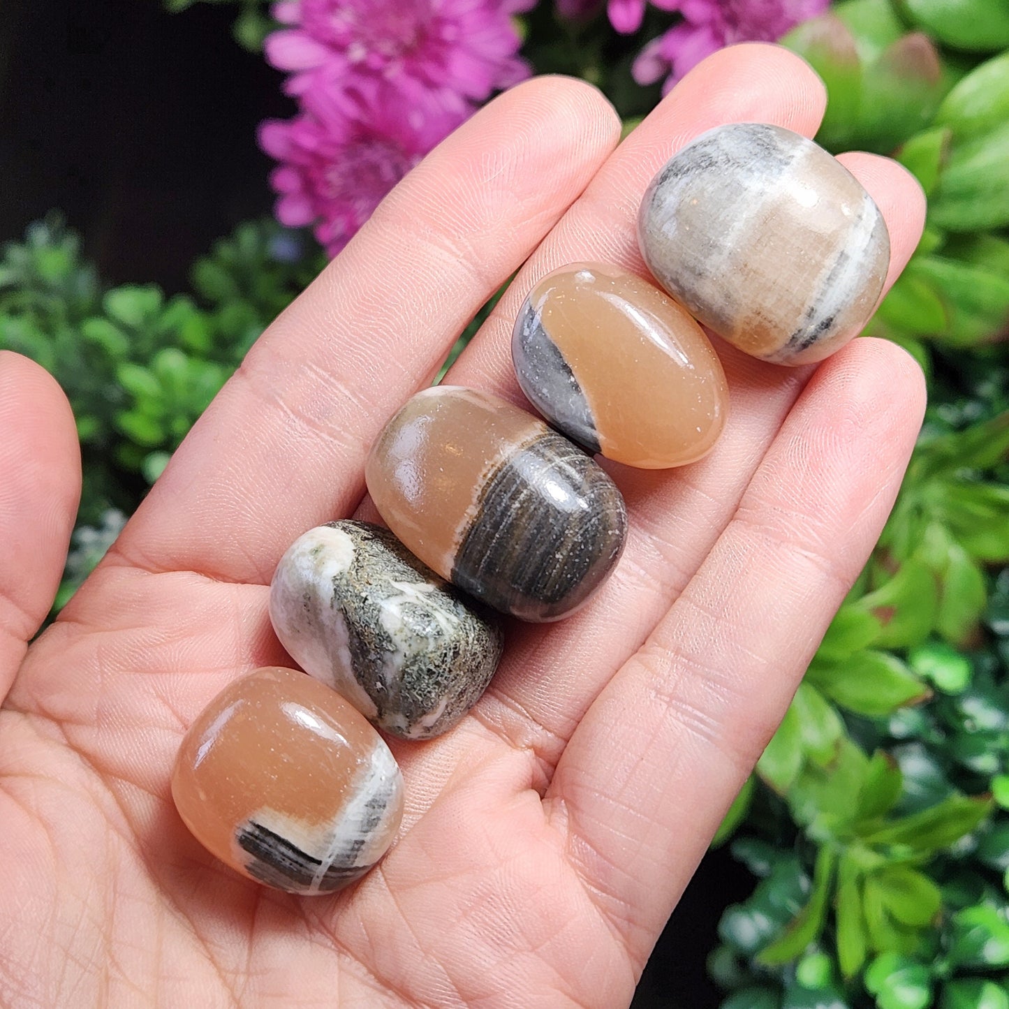 Calico Cat Calcite