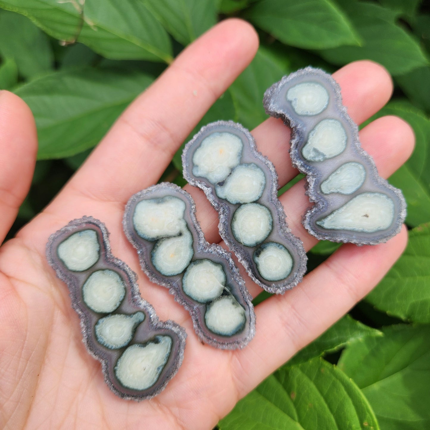 Amethyst Stalactite Slice