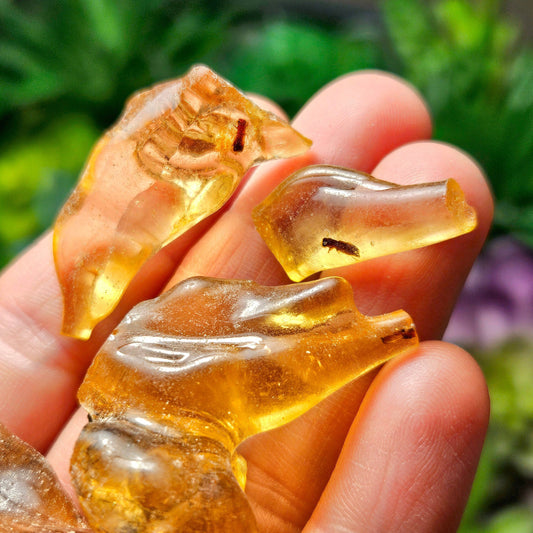 Amber with Insects