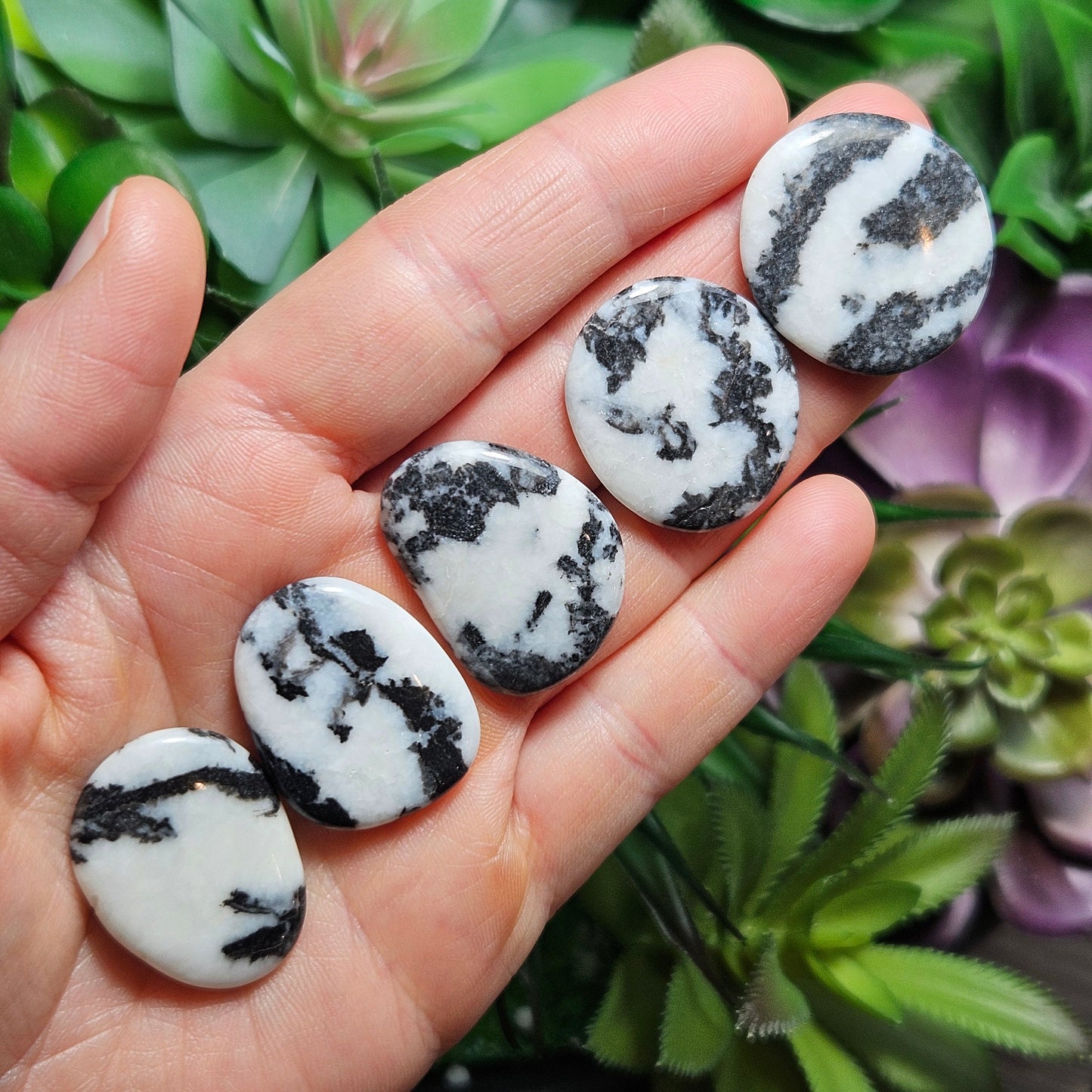 Zebra Jasper