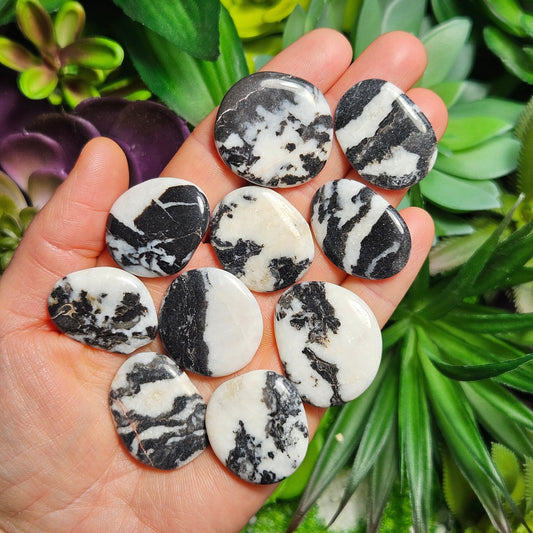 Zebra Jasper