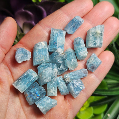 Aquamarine *OLD STOCK* Crystals