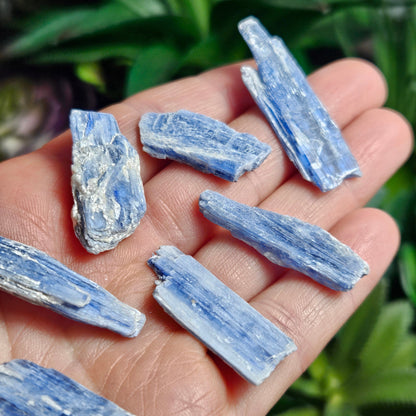 Blue Kyanite Crystal