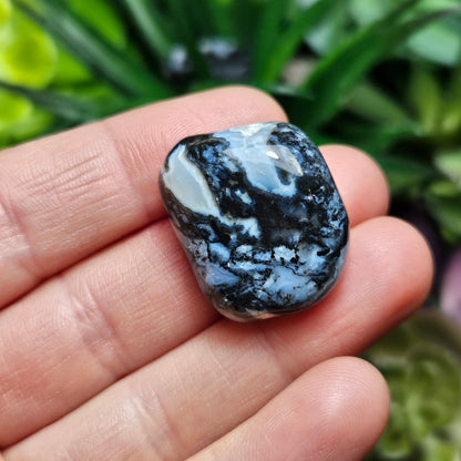Sardonyx Crystal