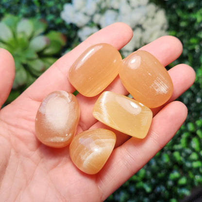 Honey Calcite Tumble
