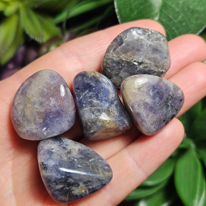 Iolite Tumbled Stone