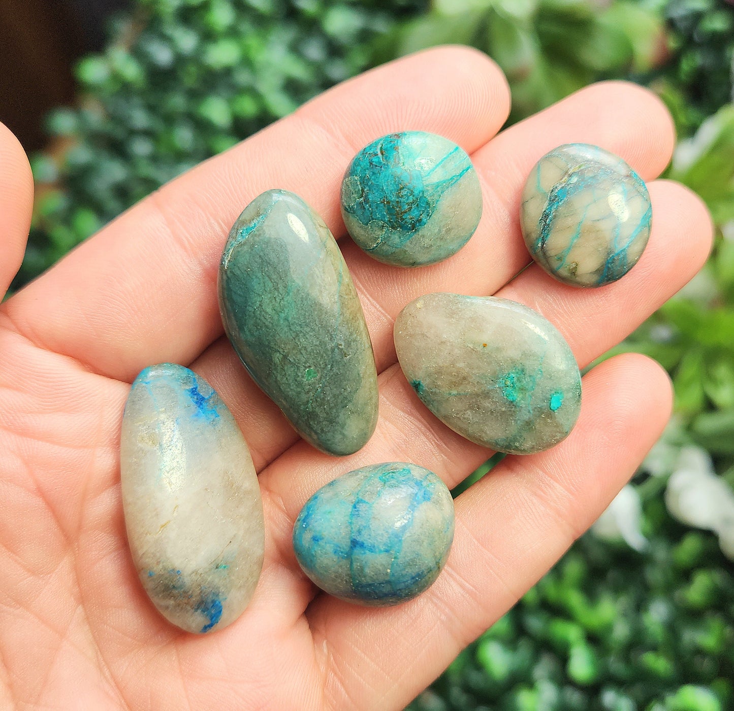 Gem Silica Chrysocolla
