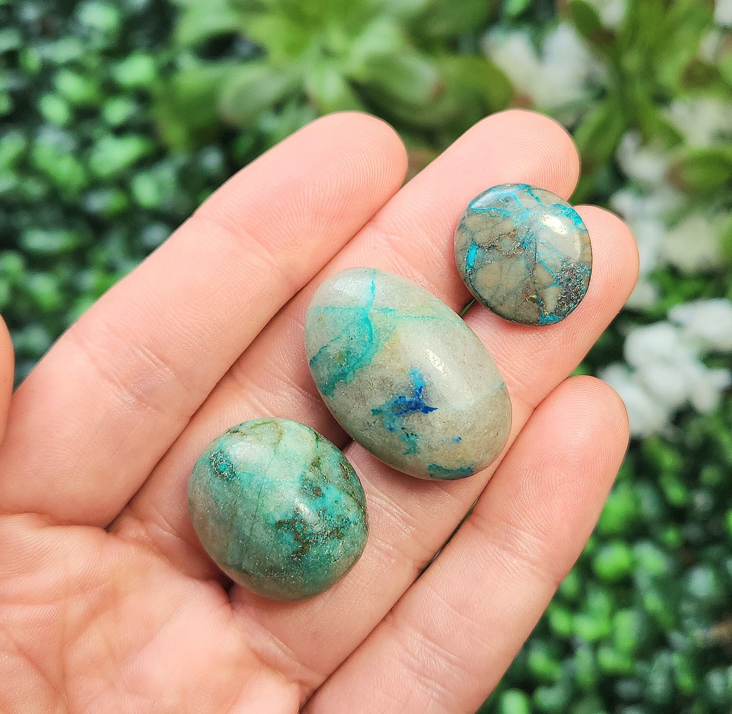 Gem Silica Chrysocolla