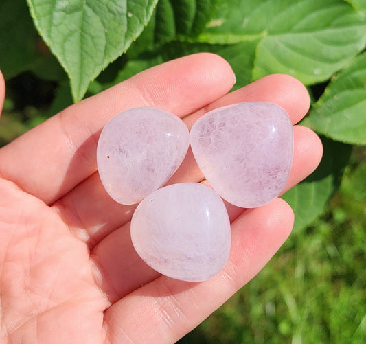 Rose Obsidian