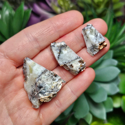 Mount Shasta Opal