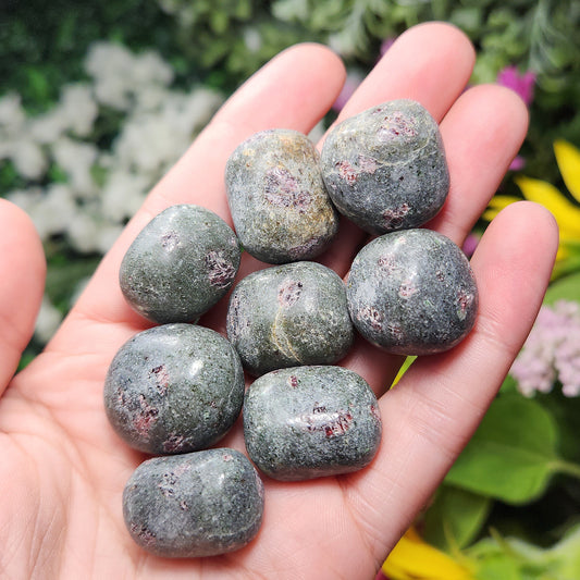 Anyolite Stone