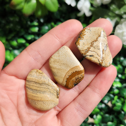 Picture Jasper Stone