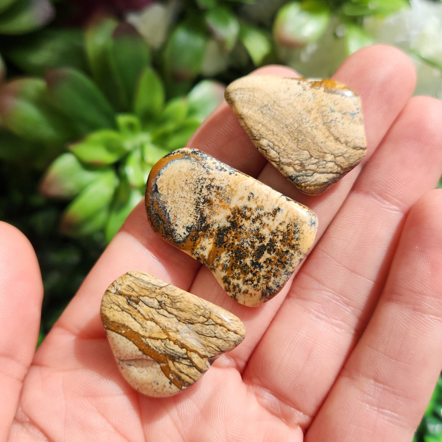Picture Jasper Stone