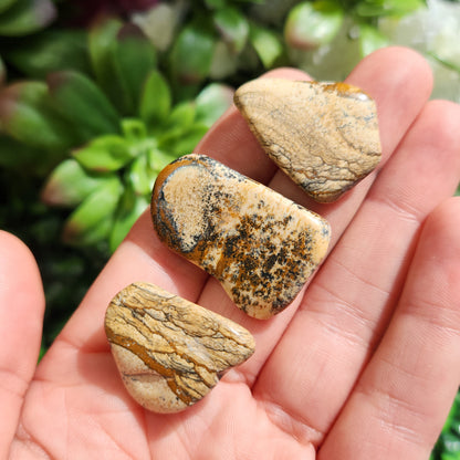 Picture Jasper Stone