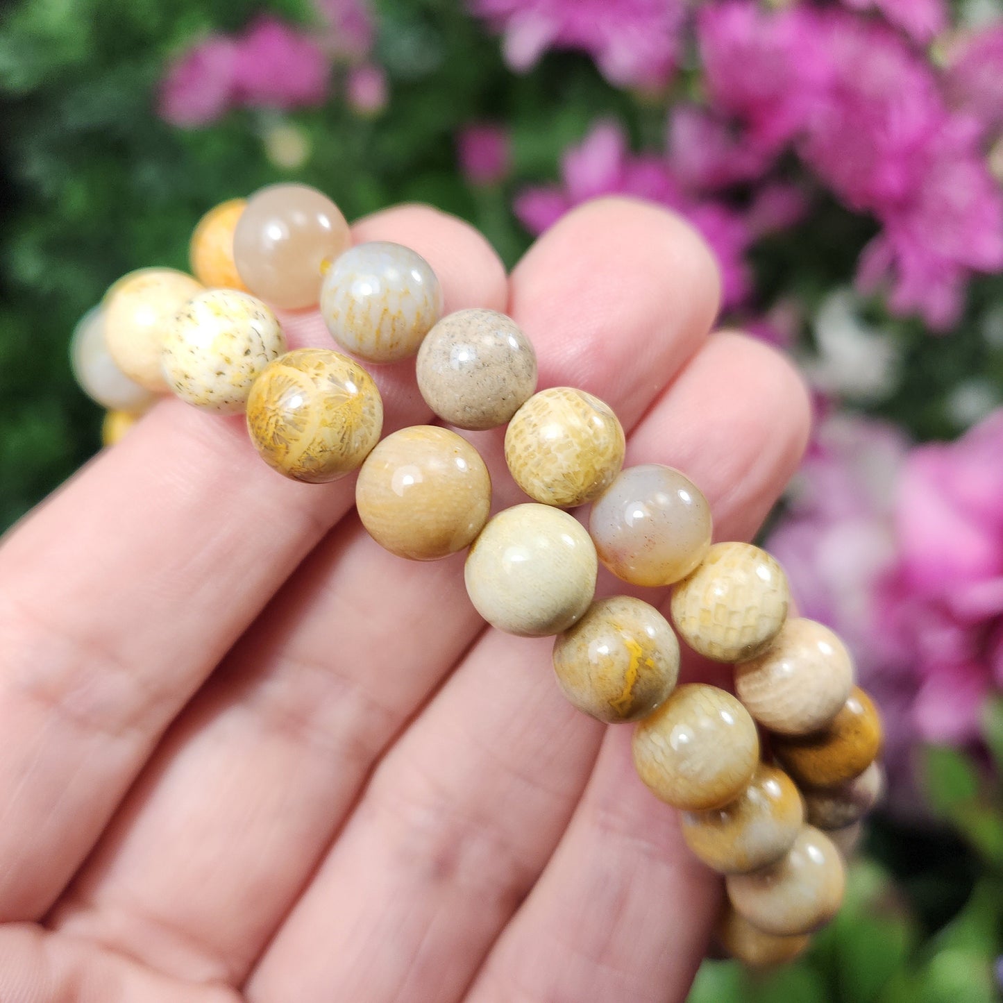 Fossilized Coral Bracelet