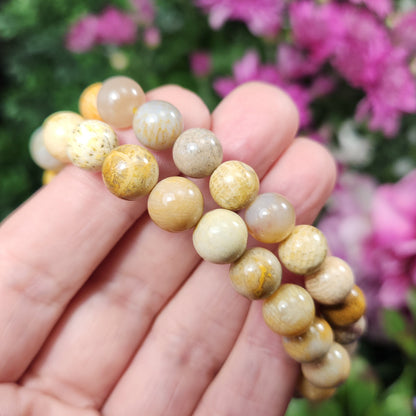 Fossilized Coral Bracelet