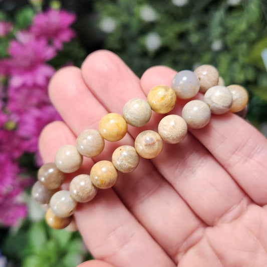Fossilized Coral Bracelet
