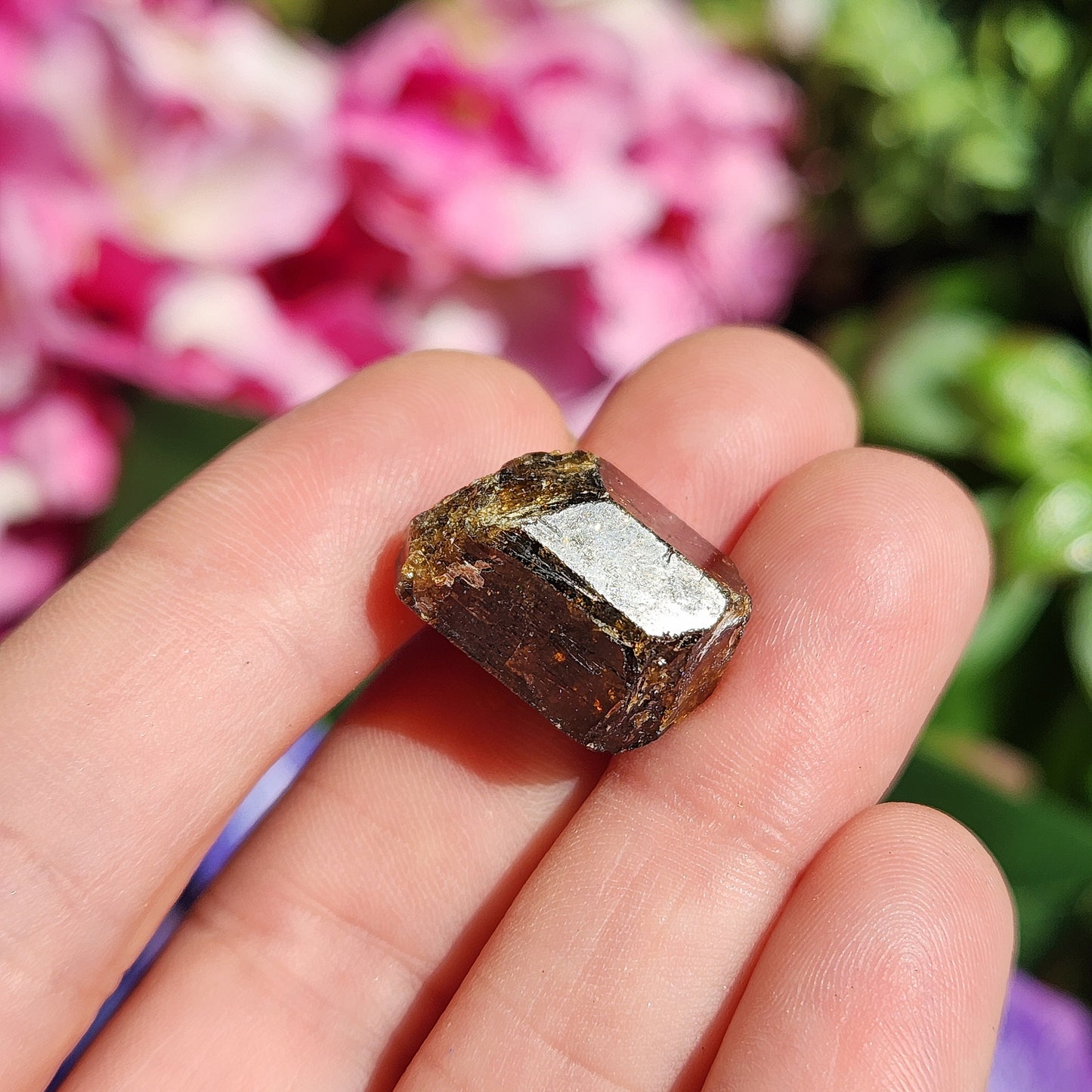 Rootbeer Tourmaline