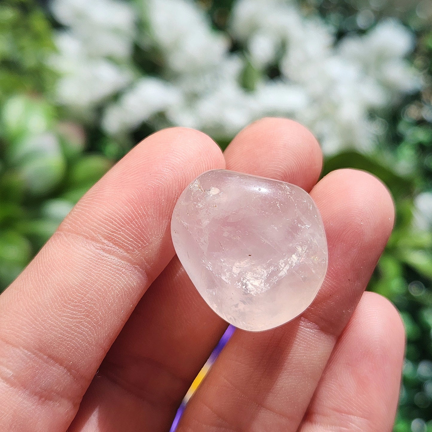 Girasol Rose Quartz