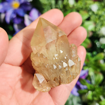 Kundalini Citrine Crystal
