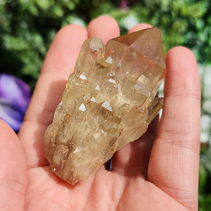 Kundalini Citrine Crystal