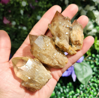 Kundalini Citrine Crystal