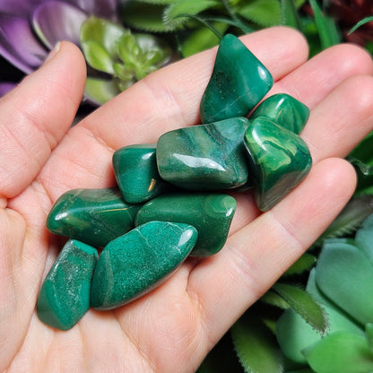 African Jade