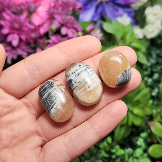 Calico Cat Calcite