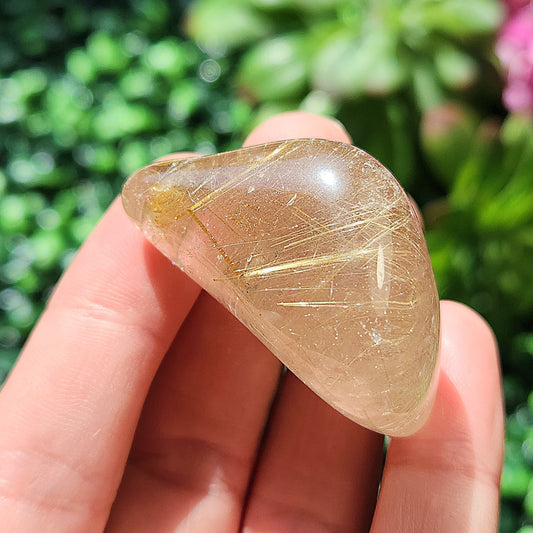 JUMBO Rutilated Quartz