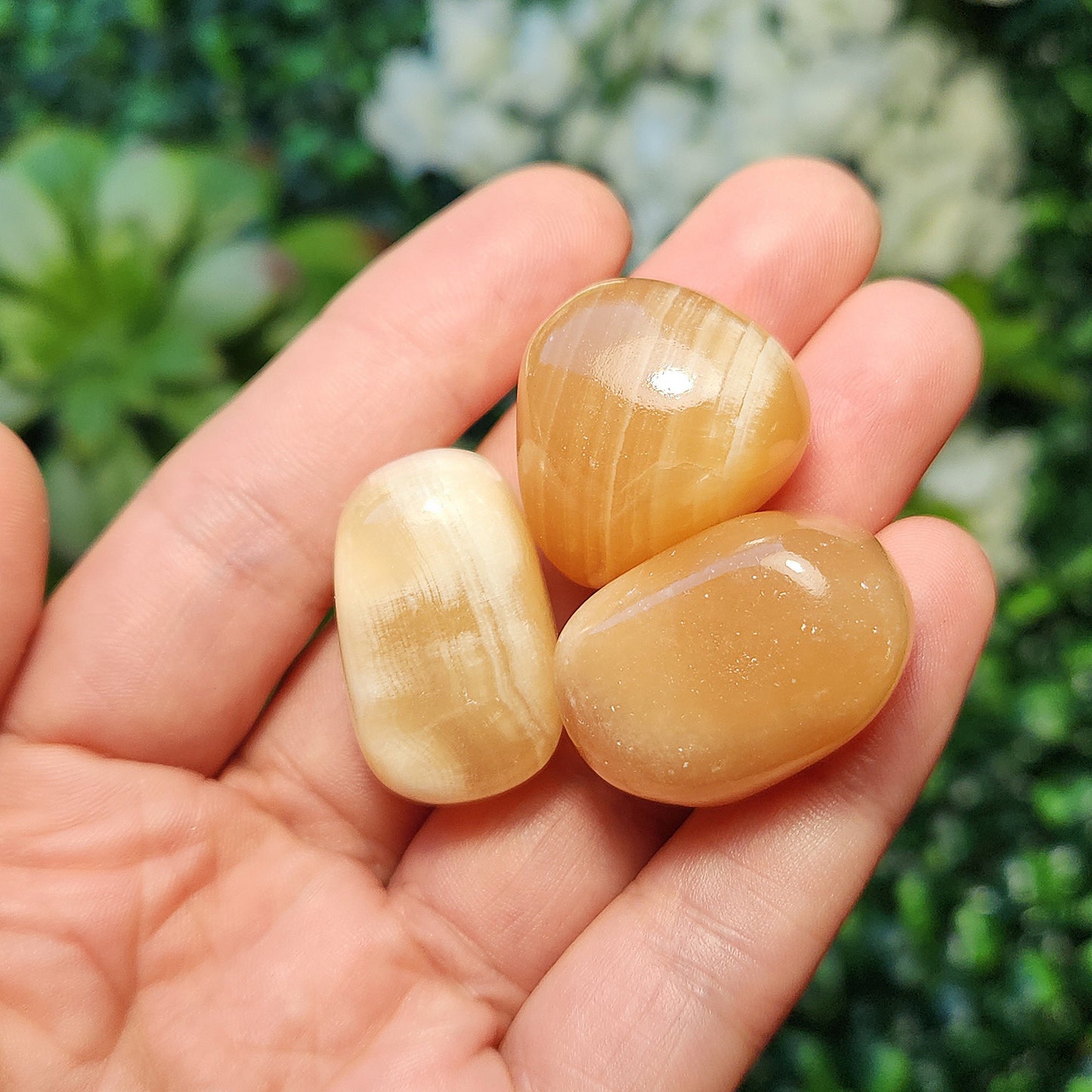 Honey Calcite Tumble