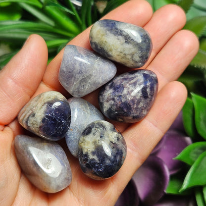 Iolite Tumbled Stone