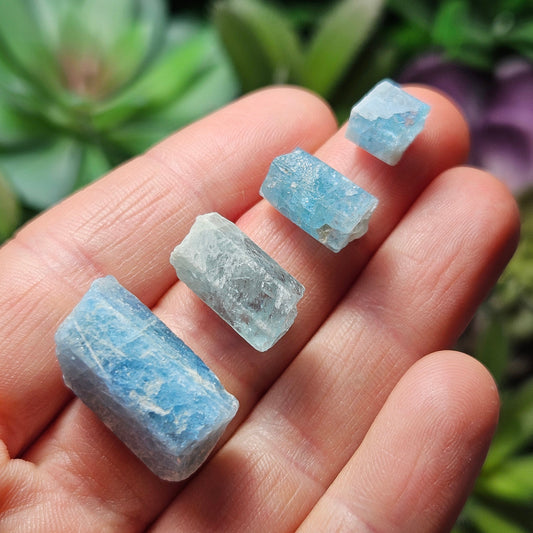 Aquamarine *OLD STOCK* Crystals