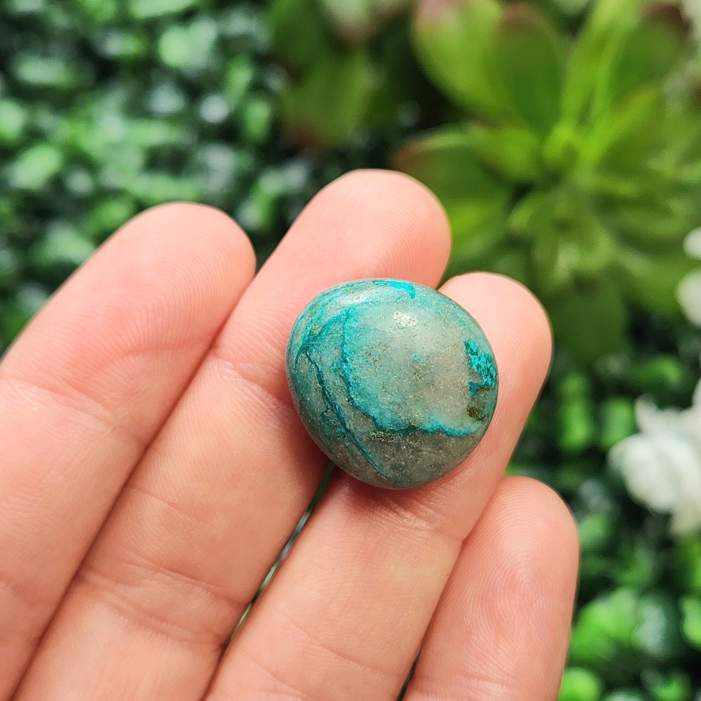 Gem Silica Chrysocolla