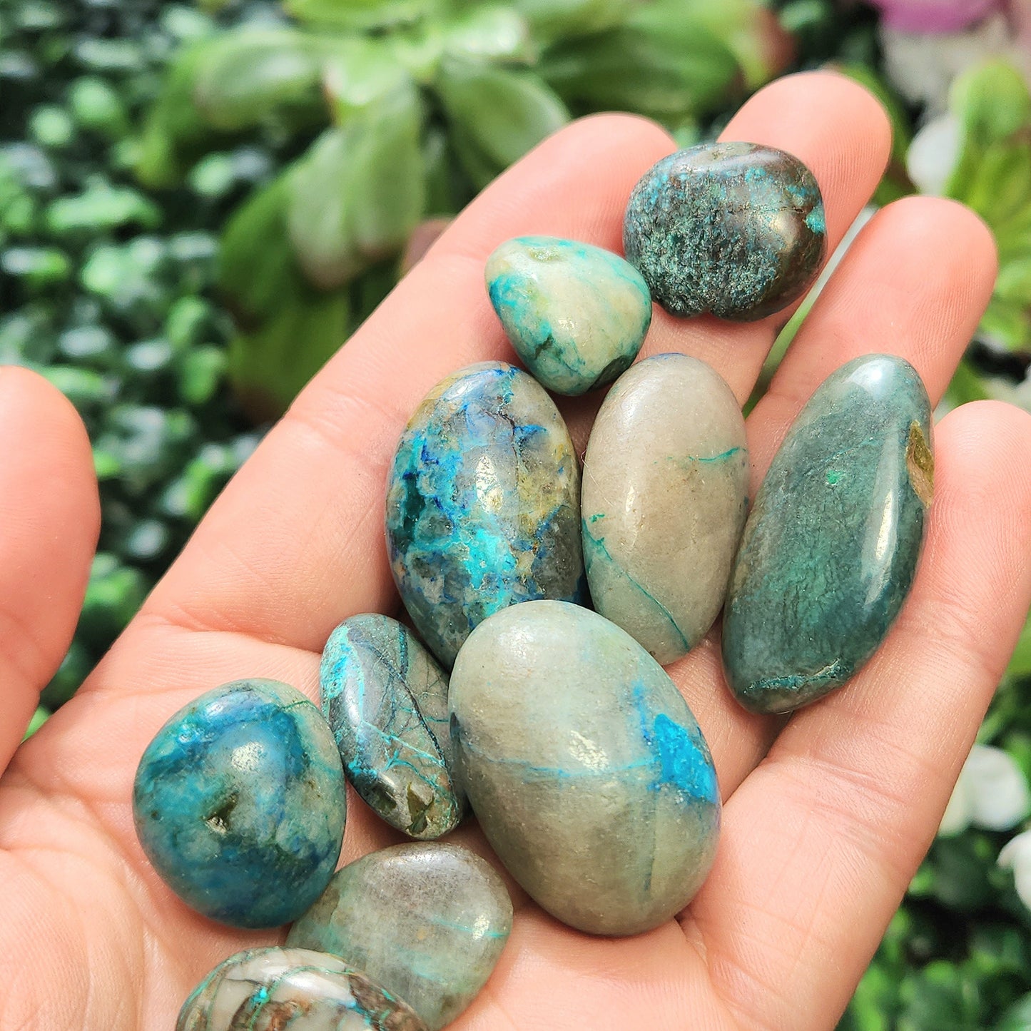 Gem Silica Chrysocolla
