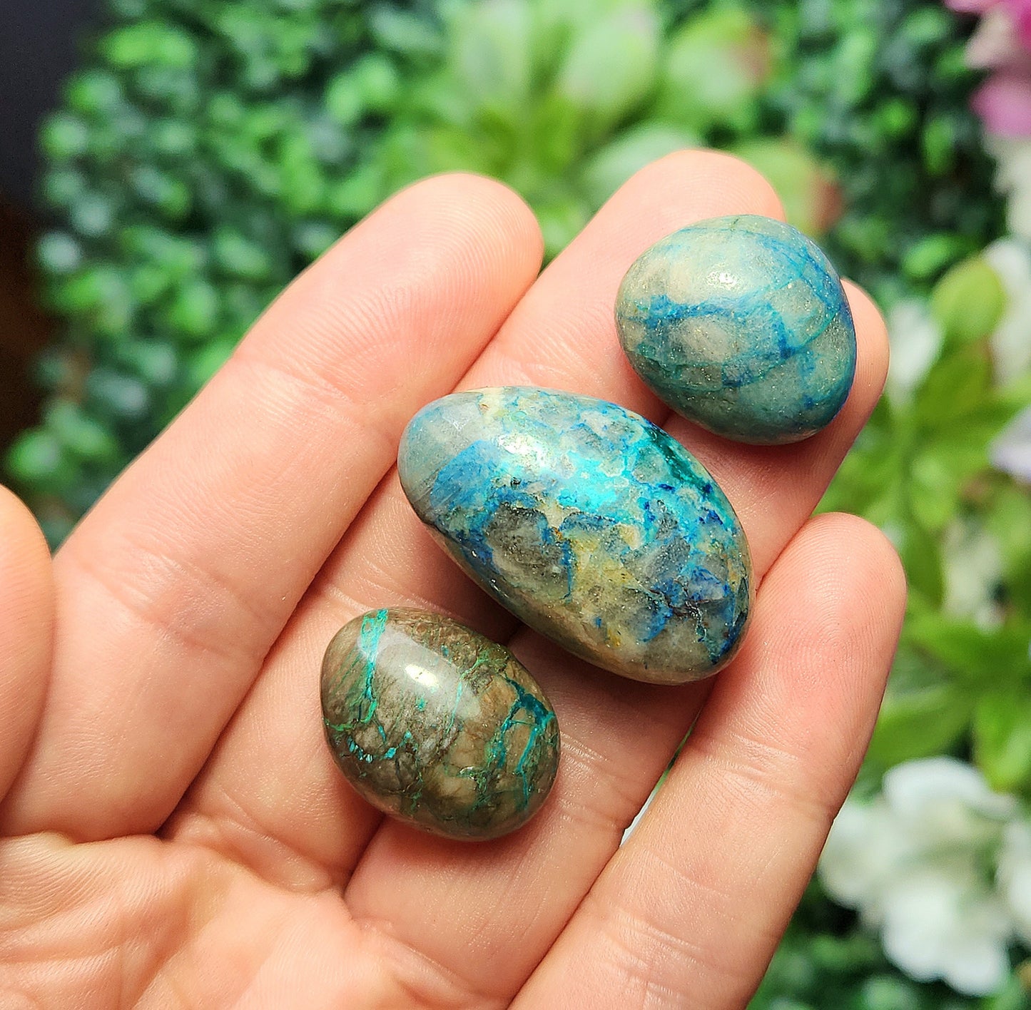 Gem Silica Chrysocolla