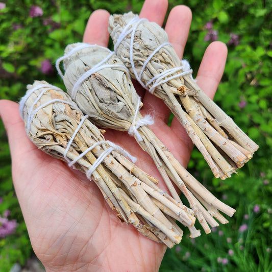 White Sage Stick