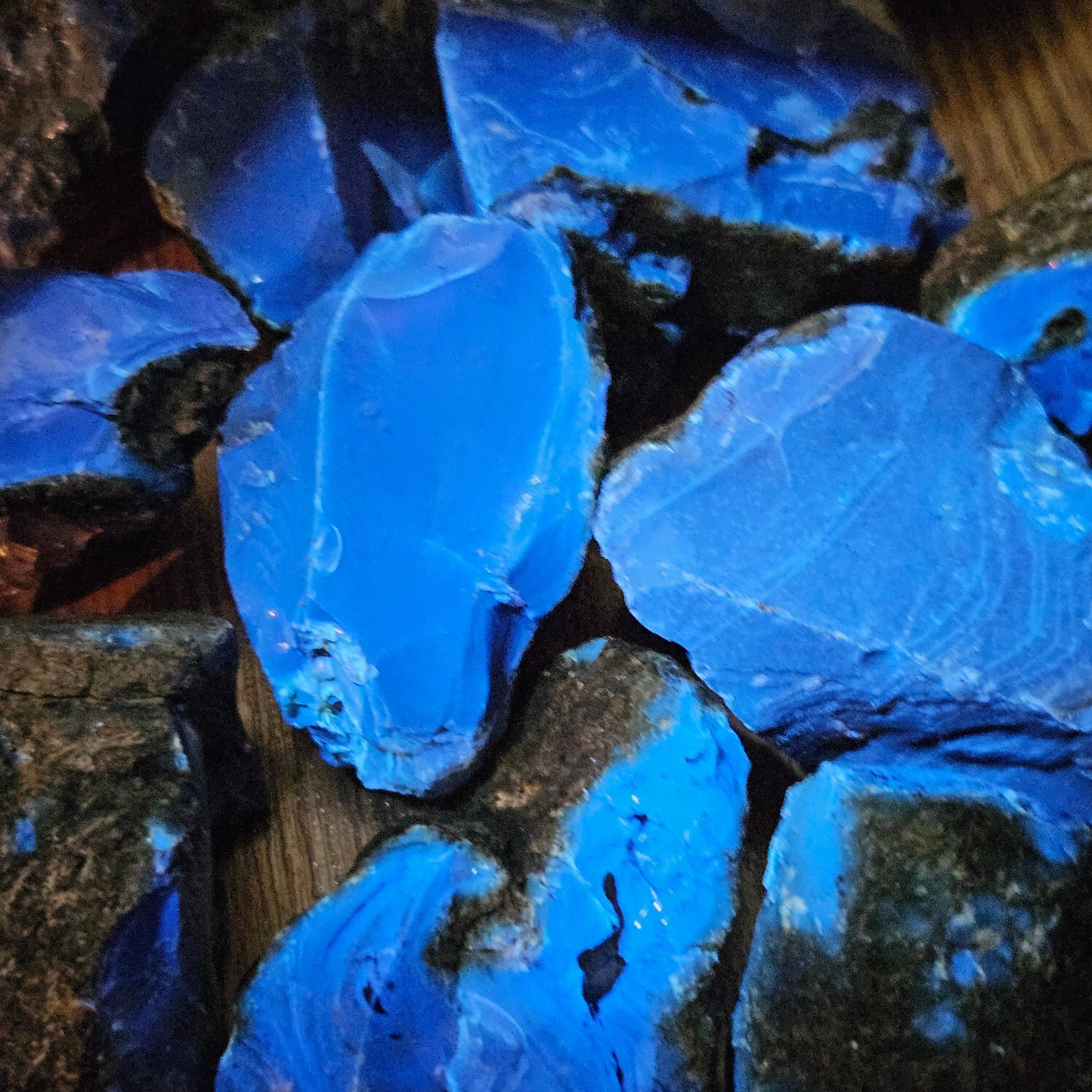 Blue Amber Specimen