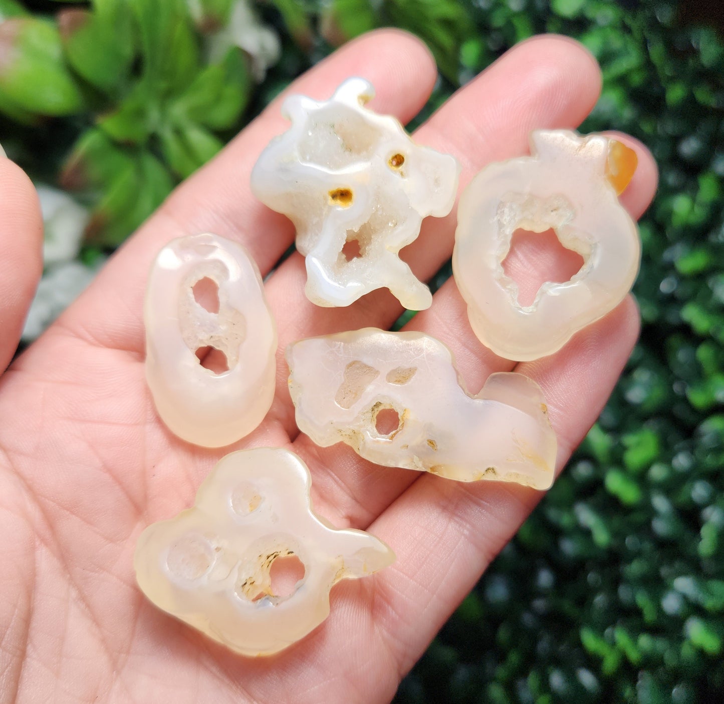 Bamboo Agate with HOLE