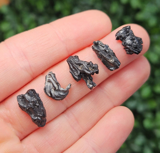 Irgizite Meteorite Specimen