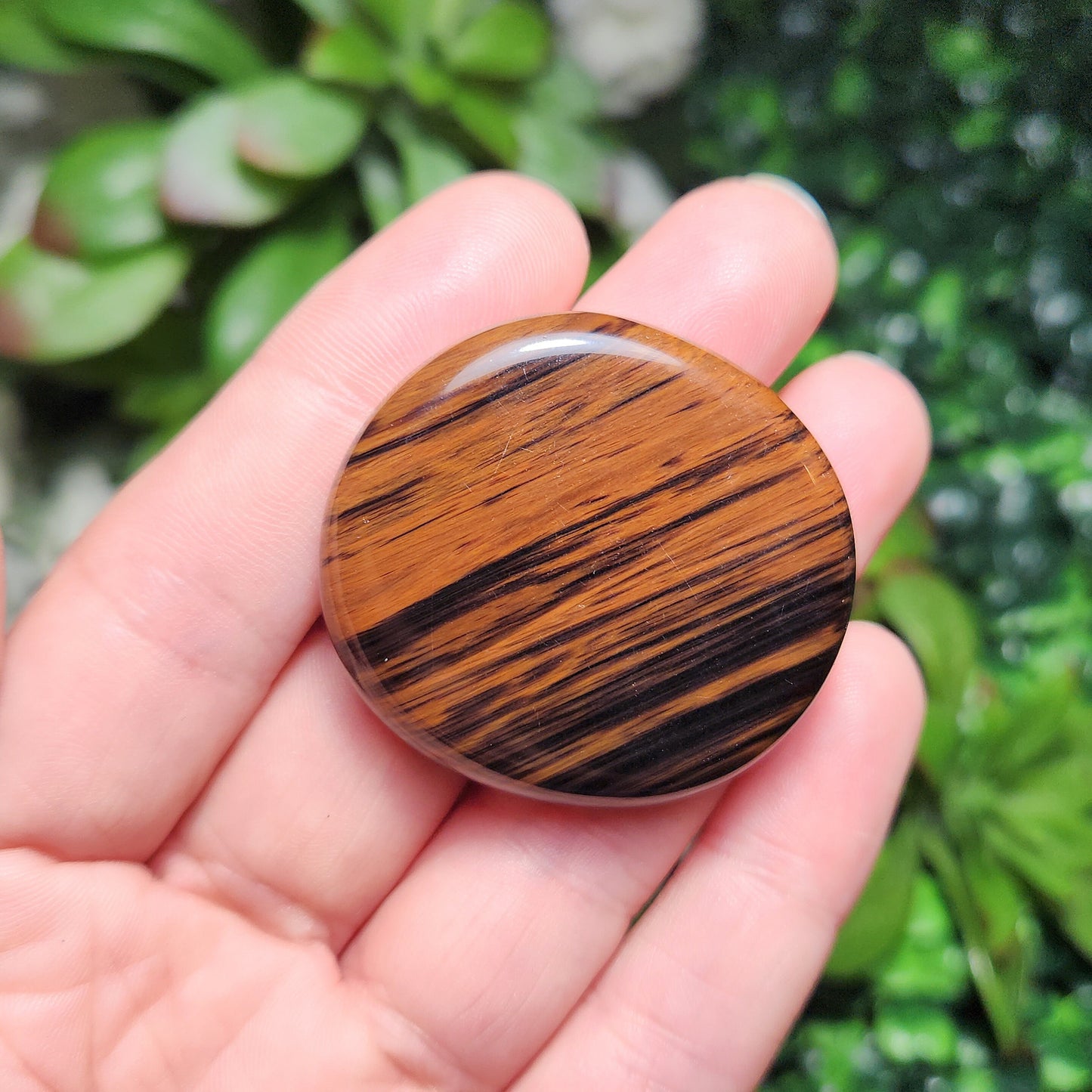 Mahogany Obsidian Palm Stone