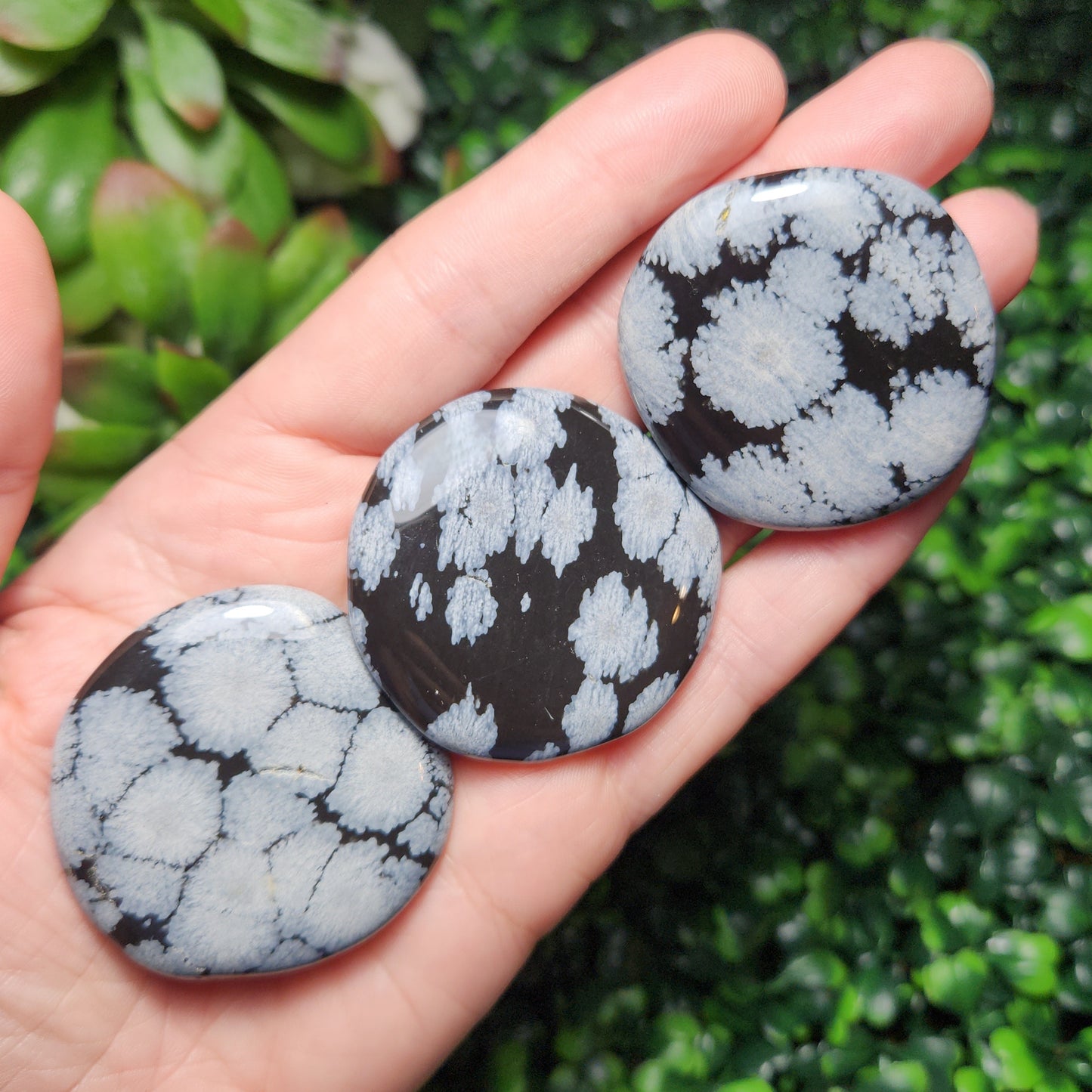 Snowflake Obsidian Palm Stone