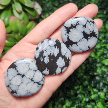 Snowflake Obsidian Palm Stone