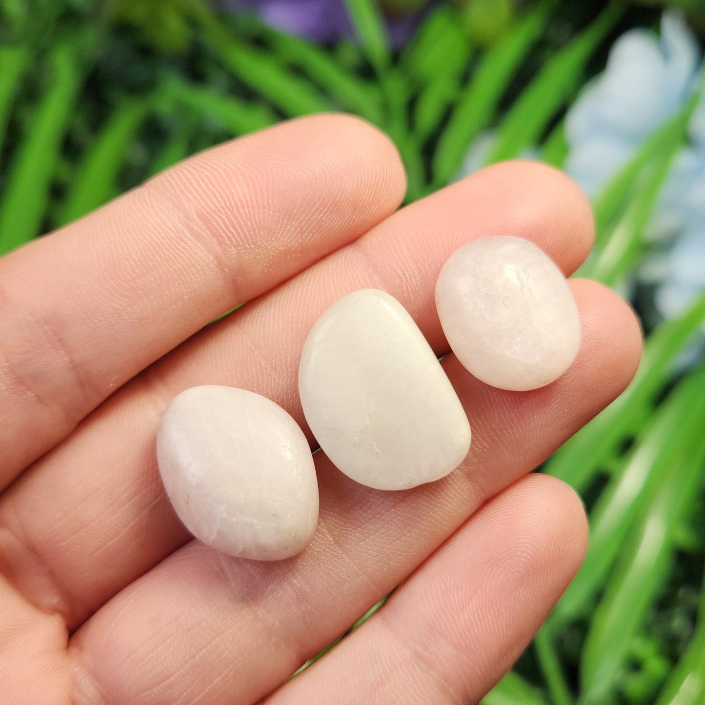 White Kunzite Tumbled Stone: Natural Spodumene Crystal, Polished Spodumene Specimens from Brazil