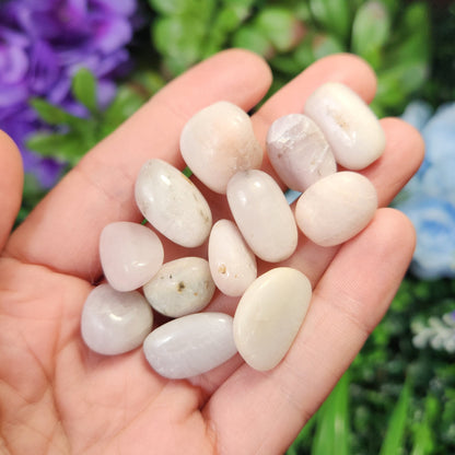 White Kunzite Tumbled Stone: Natural Spodumene Crystal, Polished Spodumene Specimens from Brazil